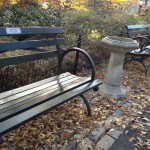 Love Letters from the Benches of Central Park