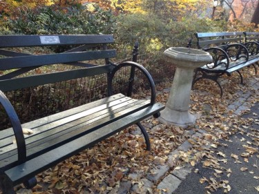 benches of Central Park with a plaque on it 