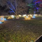 Photos from the NYBG Holiday Train Show and GLOW Light Show