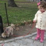 Puppies, Squirrels and Birds… Oh My!