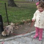 Puppies, Squirrels and Birds… Oh My!
