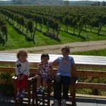 North Fork Fun – Carousels, Seafood & Wine!