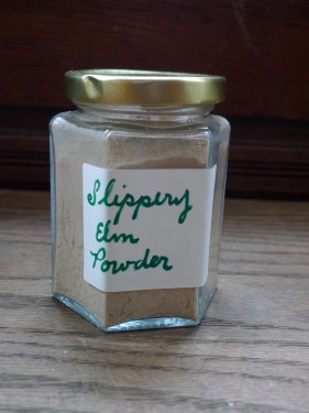 Slippery Elm 2