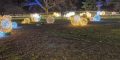Photos from the NYBG Holiday Train Show and GLOW Light Show