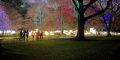 holiday light show
