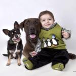 Getting Your Pet Ready for Baby