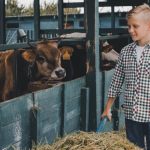 These Are the Advantages of Farm Life for Kids