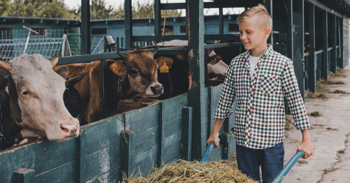 These Are the Advantages of Farm Life for Kids - Mommybites