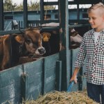 These Are the Advantages of Farm Life for Kids