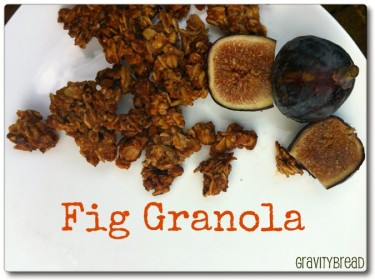 Fig-granola