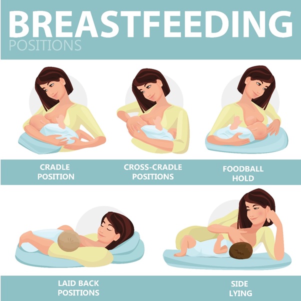 Breastfeeding cradle hold large breasts 5 Breastfeeding Positions Every New Mom Should Know Mommybites