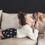 6 Ways to Make Your Home Pet Friendly