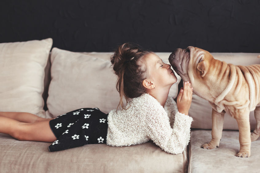 girl, couch, dog, sweater, shorts, puppy, kisses, pet, pet friendly home