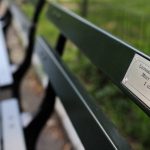 Love Letters from the Benches in Central Park
