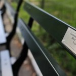 Love Letters from the Benches in Central Park