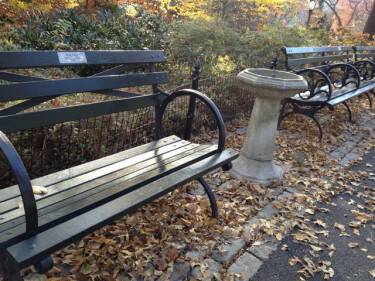 central park bench