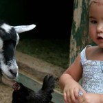 These Are the Best Petting Zoos for Toddlers in and around NYC