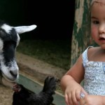 These Are the Best Petting Zoos for Toddlers in and around NYC