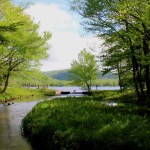 Plan an Amazing Family Weekend Getaway in the Catskills