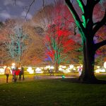 Holiday Train Show and GLOW Light Show at the NYBG